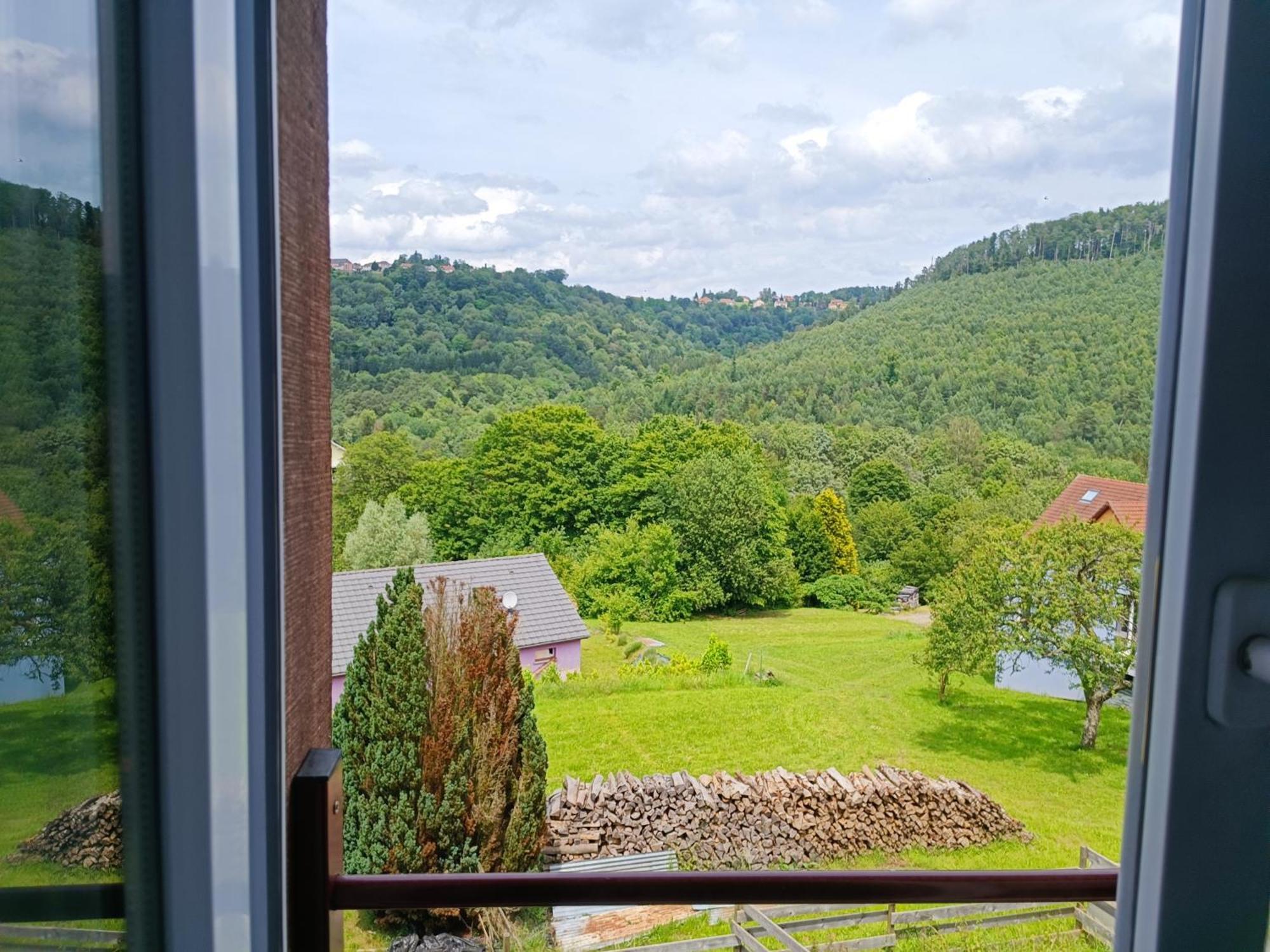 Le Petit Schaef - Proche Rocher De Dabo Apartman Kültér fotó
